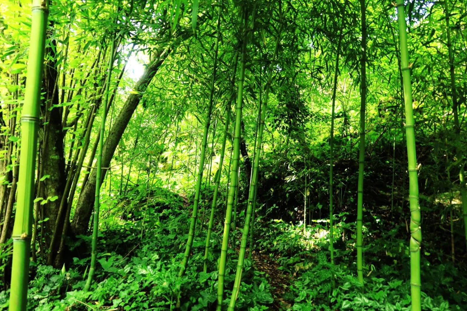 Gite L' Embrassement Le Luquet Saint Beauzeil 82 ภายนอก รูปภาพ